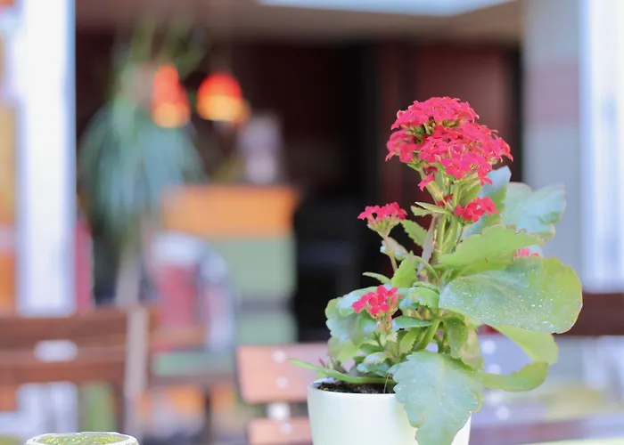 Holi Aparthotel Berlijn