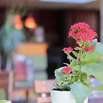 Holi Aparthotel Berlijn