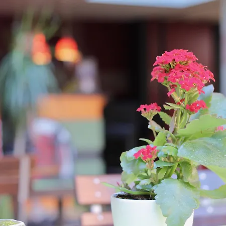 Holi アパートホテル ベルリン